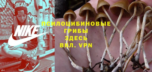 прущий лед Кодинск